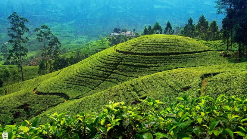 From Kandy: Nuwara Eliya Tour via Ambuluwawa [Private Tour] - Why this route works from Kandy