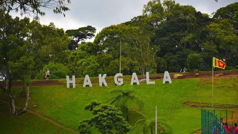From Kandy: Nuwara Eliya Tour via Ambuluwawa [Private Tour] - Viewpoints and the long return drive