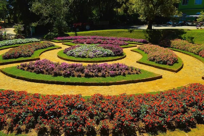 From Kandy: Nuwara Eliya Tour via Ambuluwawa [Private Tour] - What the $29 price really covers