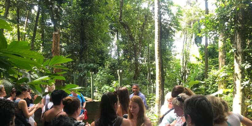 From Kandy: Pinnawala Day Tour - Royal Botanical Garden: the tour’s calmer pause
