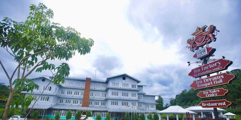 From Kandy: Pinnawala Day Tour - Big Buddha, Asgiriya, and Kandy’s best views