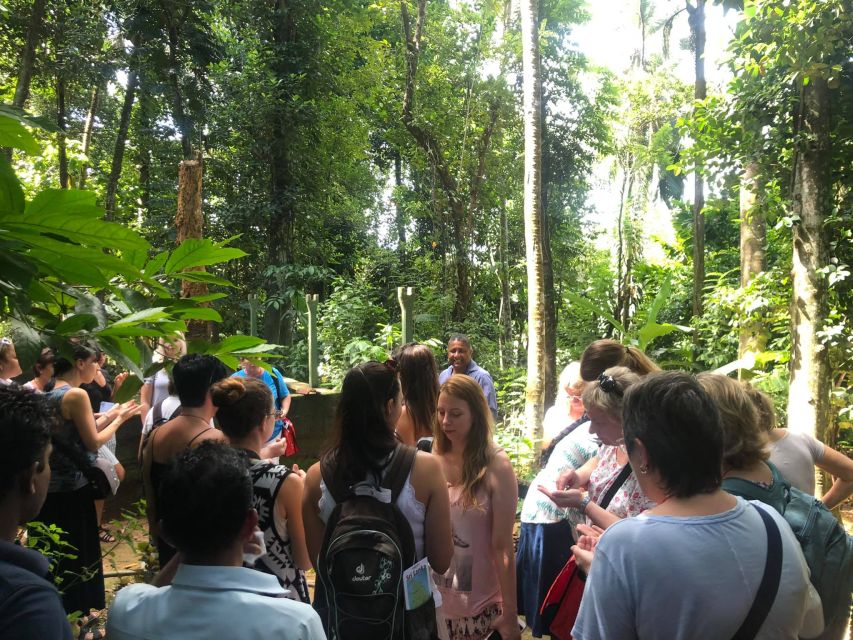 From Kandy: Pinnawala Day Tour - What the $15 price really delivers