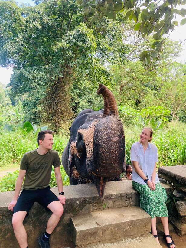 From Kandy : Pinnawala Elephant Orphanage & Ambuluwawa Tower - Why this Kandy day trip packs in so much