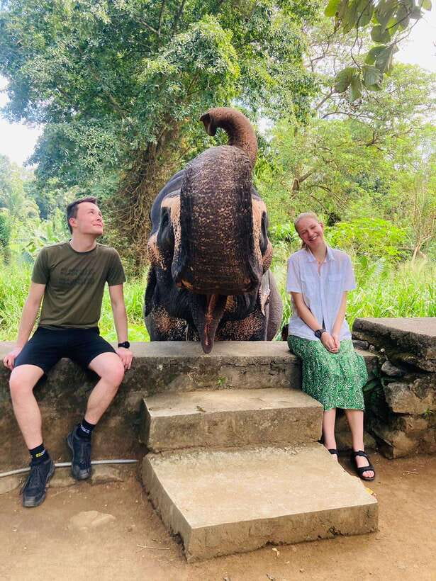 From Kandy : Pinnawala Elephant Orphanage & Ambuluwawa Tower - Tea, spices, wood carving, and batik