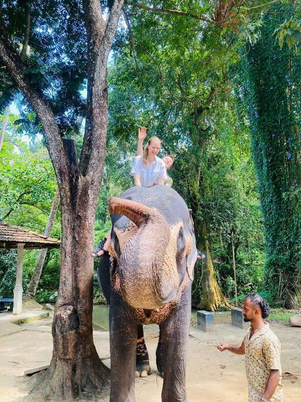 From Kandy : Pinnawala Elephant Orphanage & Ambuluwawa Tower - Viewpoints and the Mahaweli River