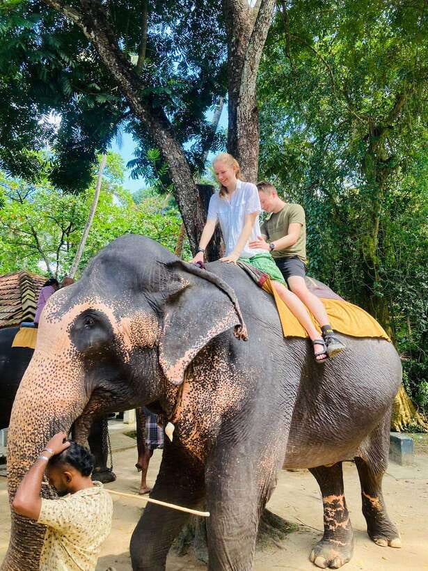 From Kandy : Pinnawala Elephant Orphanage & Ambuluwawa Tower - Starting in Kandy with temples and city views
