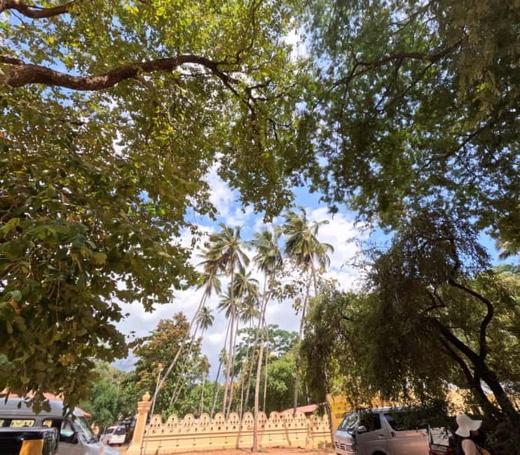 From Kandy: Sigiriya & Dambulla Day Tour with Safari - Price, extra fees, and real value