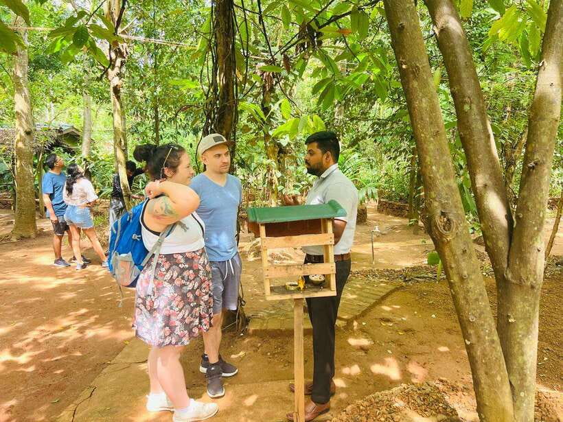 From Kandy: Sigiriya Day Tour with Elephant Safari(group) - Dambulla’s painted caves and Buddha statues