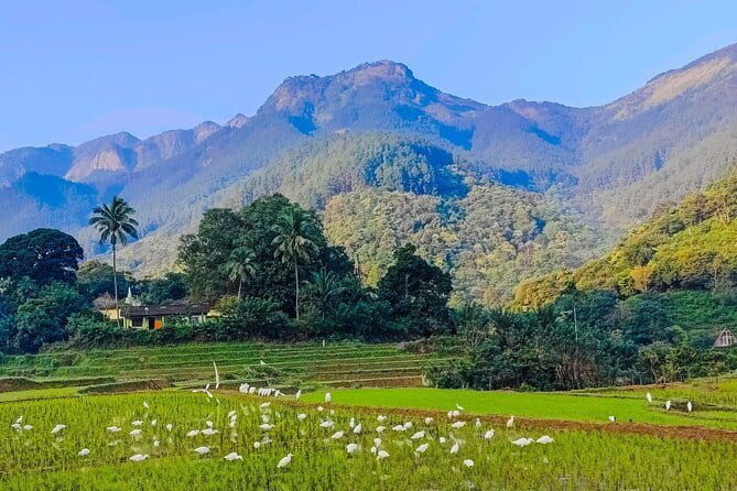 From Kandy to ELLA Private day tour - Nuwara Eliya Post Office and old colonial character