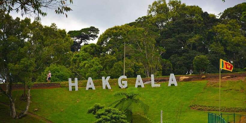 From Kandy To Nuwara Eliya Drop Tour - Private Tour - The private minivan and guide service