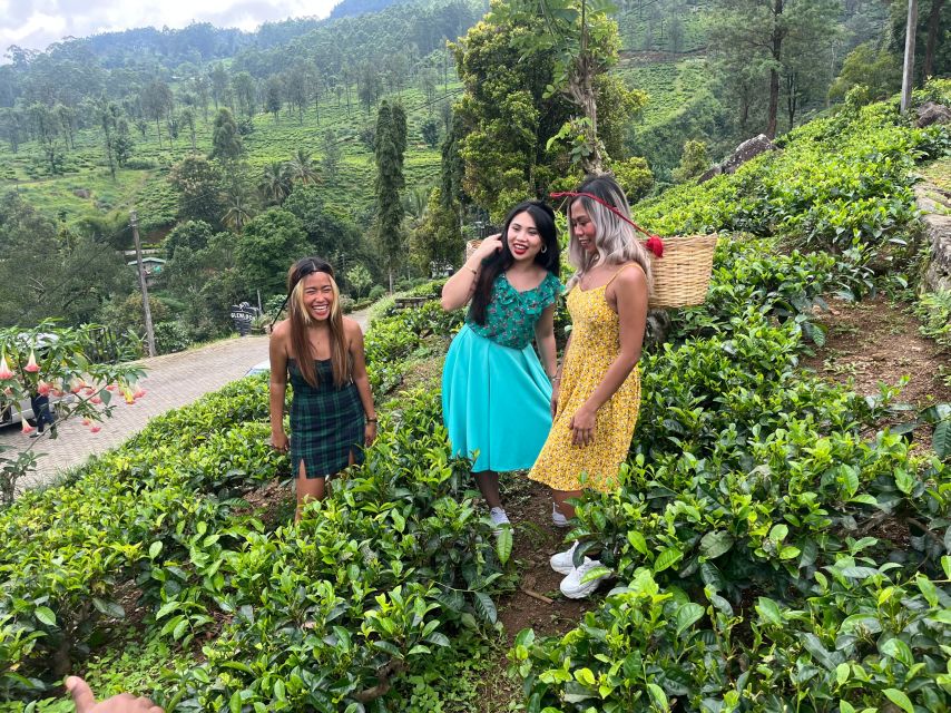 From kandy Train, and Pool Club Day Tour with Pickup - Tea at Uva Halpewatte