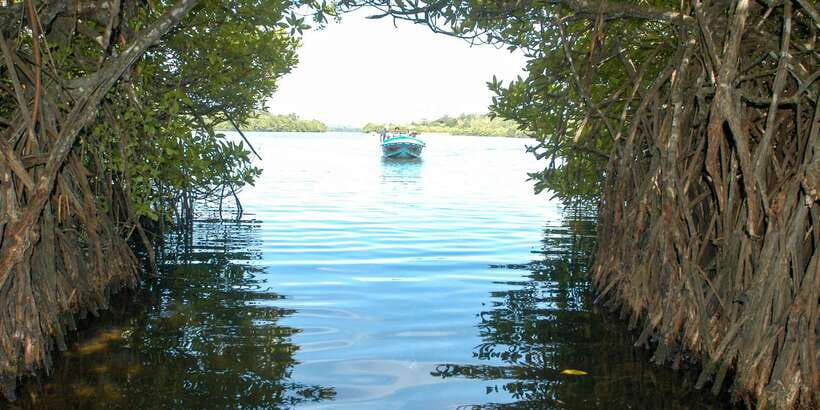 From Negombo: Bentota Full-Day Tour - Practical tips for a smoother day