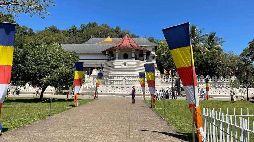From Negombo : Pinnawala & Tea Factory & Kandy Full Day Trip - Pinnawala and the Millennium Elephant Foundation