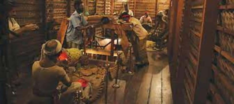From Negombo : Pinnawala & Tea Factory & Kandy Full Day Trip - The Temple of the Sacred Tooth Relic