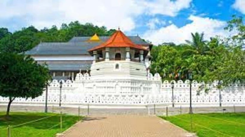 From Negombo : Pinnawala & Tea Factory & Kandy Full Day Trip - Shopping stops and keeping control of your time