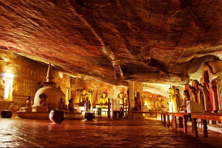 From Negombo: Sigiriya and Dambulla Day Trip and Safari - Who should book this day trip?