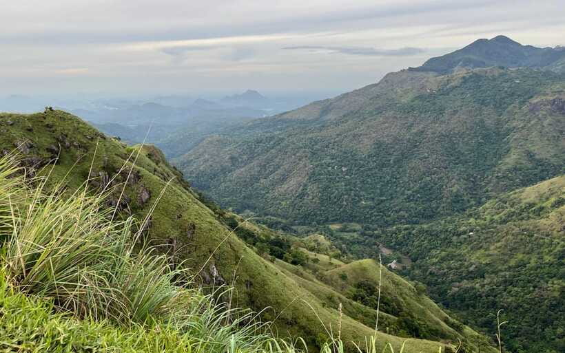 From Nuwara Eliya: Ella City Tour with Little Adam's Peak - A chauffeur who can make or break the day
