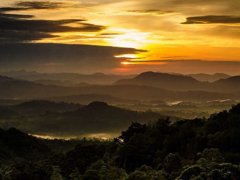 From Nuwara Eliya: Summit Bliss, Adams Peak Guided Hike - Returning to Nallatanniya and breakfast
