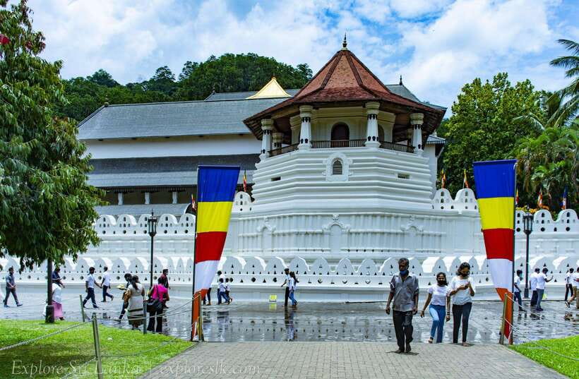 From Nuwara Eliya To Kandy Drop Tour - Giant Java fig tree and the family woodcarving house