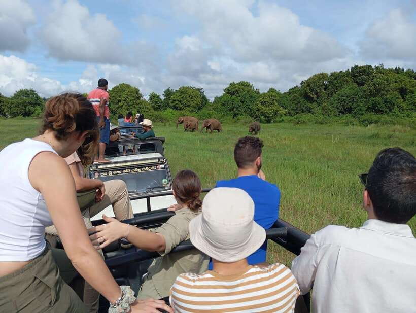 From Sigiriya: Hurulu Eco Park Elephant Jeep Safari - What the $28 price does and does not cover