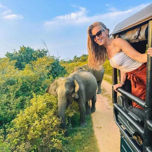 From Sigiriya : Hurulu Eco Park Safari : All Inclusive - Birds and smaller animals add variety