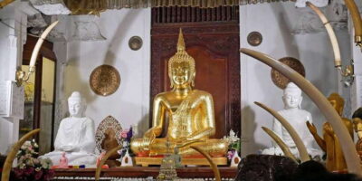 Kandy Transfer with Dambulla and Spice Garden