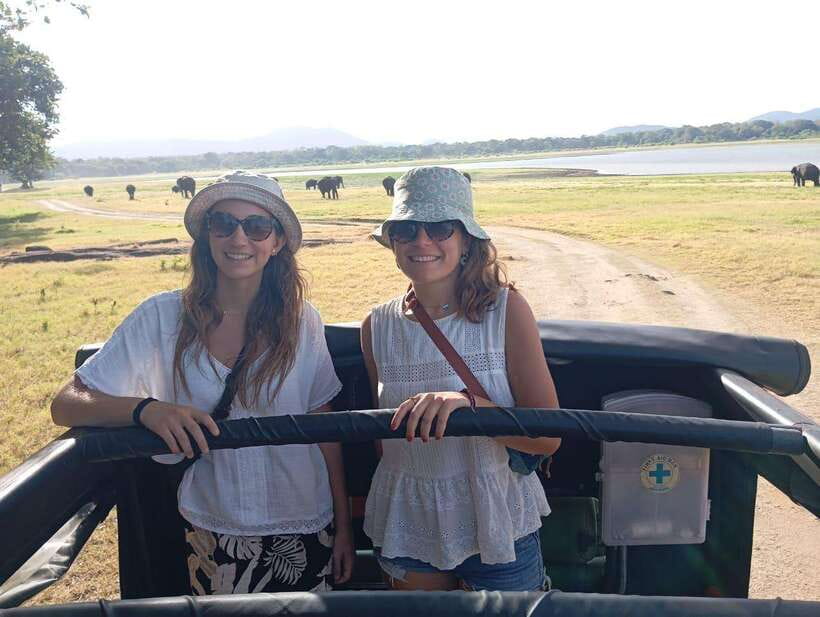 From Sigiriya: Minneriya National Park Half-Day Jeep Safari - Key points to know before you book