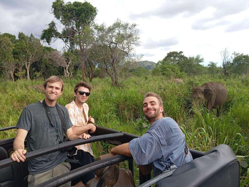 From Sigiriya: Minneriya National Park Half-Day Jeep Safari - Why Minneriya’s elephants are the main attraction