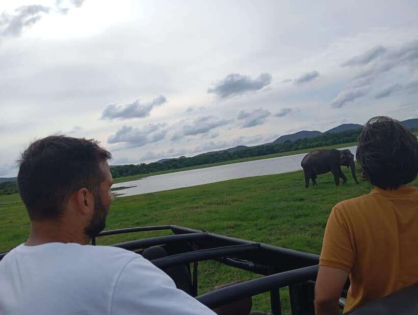From Sigiriya: Minneriya National Park Half-Day Jeep Safari - Looking for deer, buffalo, monkeys, and birds