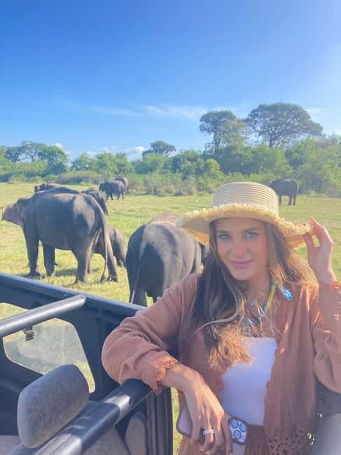 From Sigiriya: Minneriya National Park Private Jeep Safari - Why the elephant gathering is worth your morning or afternoon