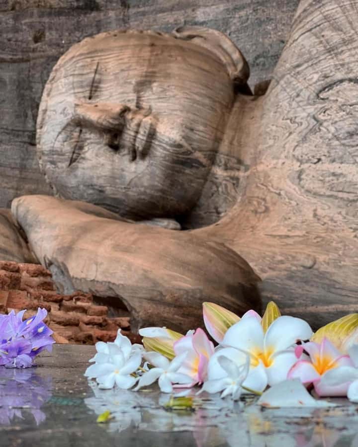 From Sigiriya :Polonnaruwa Ancient City Tour/Day Tour - Why Polonnaruwa Makes a Strong Day Trip From Sigiriya