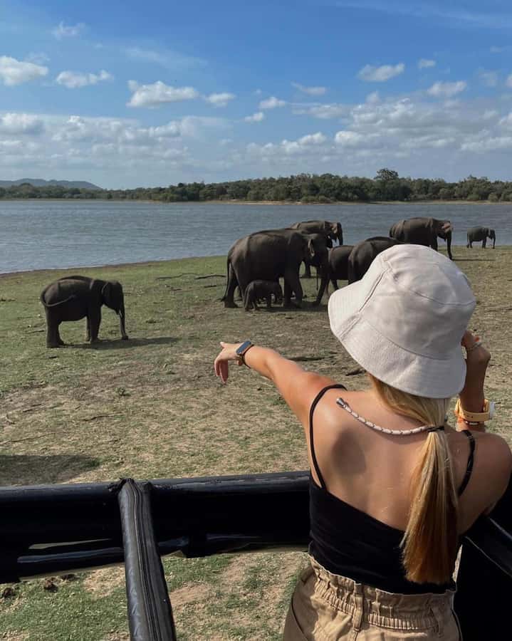 From Sigiriya :Polonnaruwa Ancient City Tour/Day Tour - Adding the Minneriya Elephant Gathering