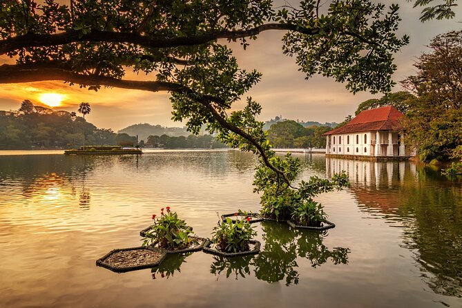 From Sigiriya to Kandy Transfer by Private Comfortable Car - Why this road transfer can improve your Sri Lanka trip