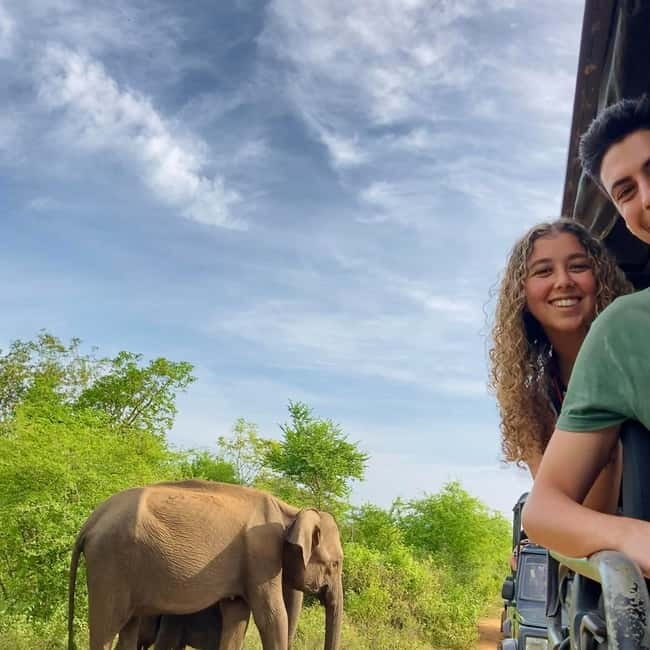From Tangalle/ Hiriketiya: Yala Safari with Drop: Ella - Ella drop-off, or a beach-town finish