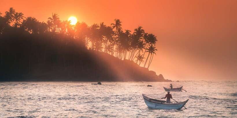 From Tangalle: Mirissa Whale Watching Tour with Breakfast - Who will get the most from this cruise