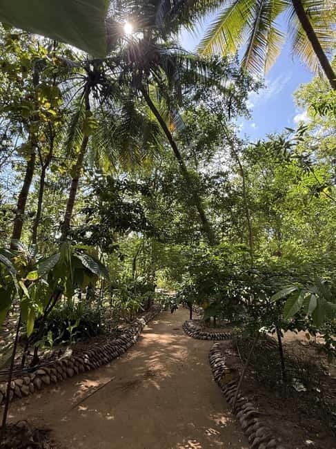 From Trincomalee: Village Tour & Minneriya Elephant Safari - Optional workshops after lunch
