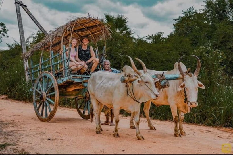 From Trincomalee: Village Tour & Minneriya Elephant Safari - Three hours among Minneriya’s elephants