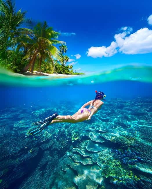 From Uppuveli Beach: Pigeon Island Snorkeling Tour - Why Pigeon Island makes a strong morning trip