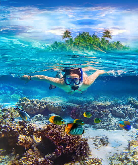 From Uppuveli Beach: Pigeon Island Snorkeling Tour - From Fernando’s Beach Market to the open sea
