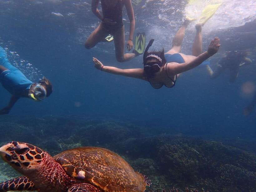From Uppuveli Beach: Pigeon Island Snorkeling Tour - Coral, fish, turtles, and reef sharks