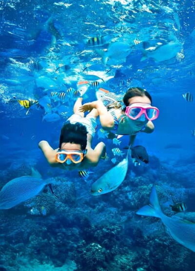 From Uppuveli Beach: Pigeon Island Snorkeling Tour