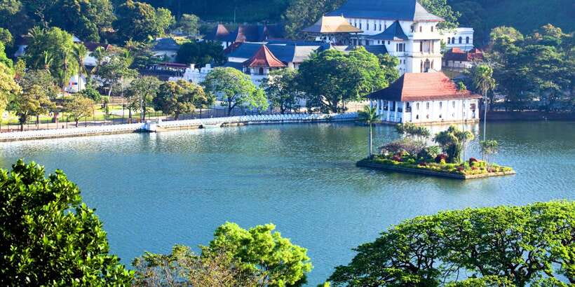 From west coast: Kandy, Tooth temple, Botanical & Tea garden - Peradeniya Botanical Garden in one focused hour