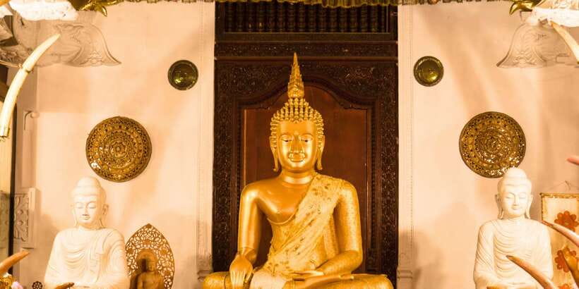 From west coast: Kandy, Tooth temple, Botanical & Tea garden - Tea estate and factory stop