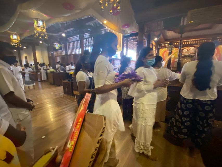 From west coast: Kandy, Tooth temple, Botanical & Tea garden - Who will enjoy this Kandy tour most