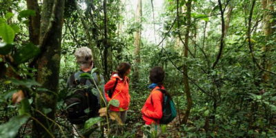 From Western Province: 2-Day Hill Country Highlights Trip