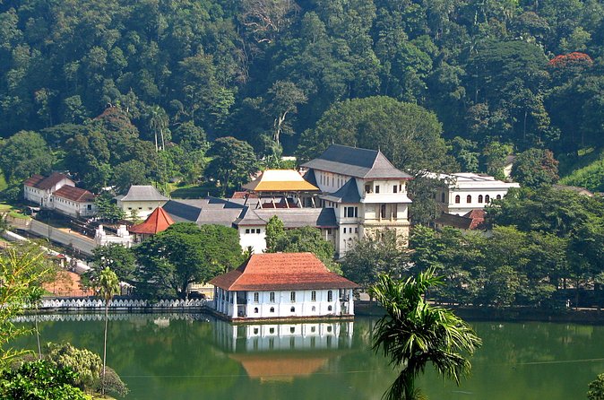 Full-Day Kandy Highlights Tour - Two hours among the plants at Peradeniya