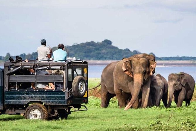 Full-Day Minneriya and Kaudulla National Parks Private Safari - Key points to know before booking