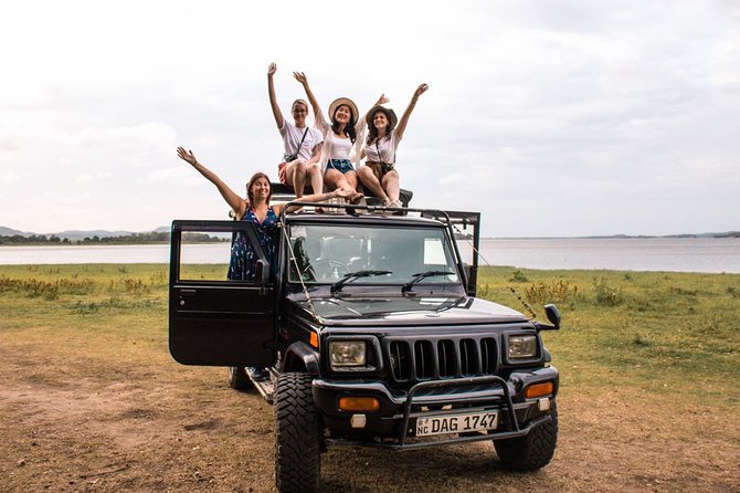 Full-Day Minneriya and Kaudulla National Parks Private Safari - A small safari with a clear purpose