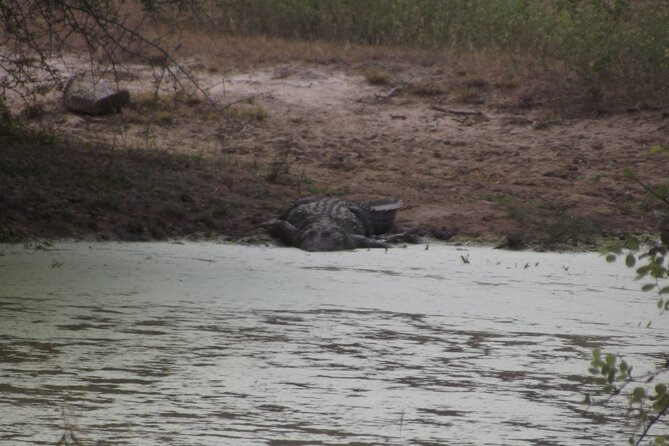 Full Day Safari Tour in Yala National Park - The scenery and the value of a slow safari