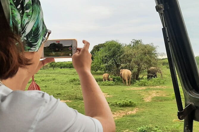 Full Day Safari Tour Yala - Guide quality and safe animal watching
